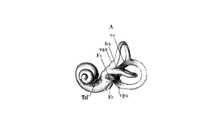 Listening Devices