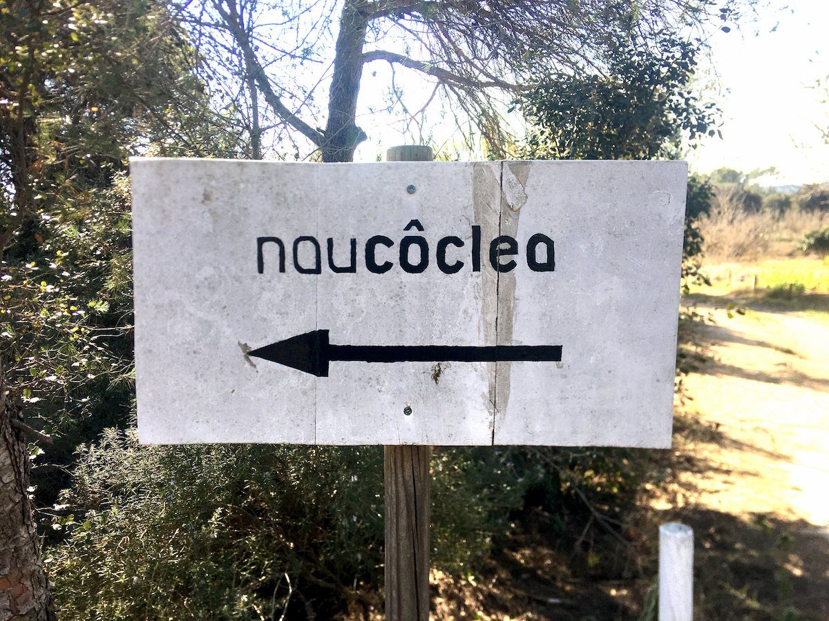 L’última escolta