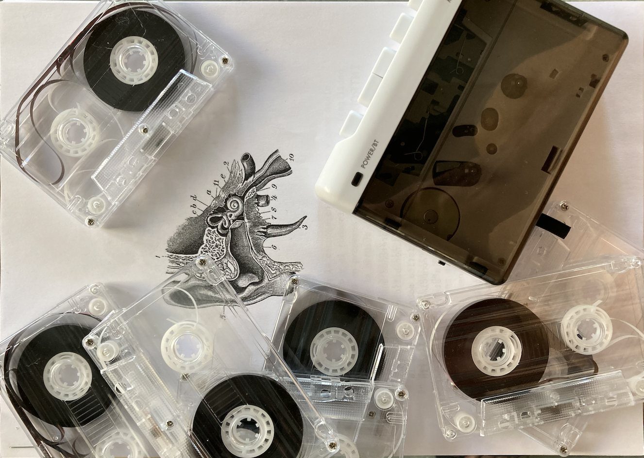 Tape Dead Club